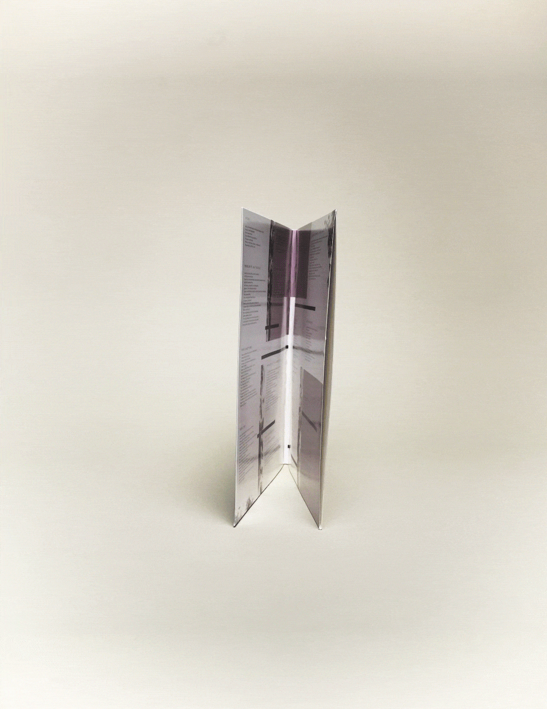 Ariana Grande - my everything lp (half clear/purple)