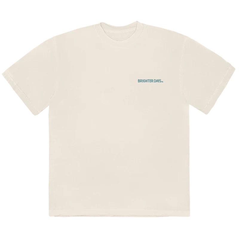 Ariana Grande - 934-33-ERASE t-shirt
